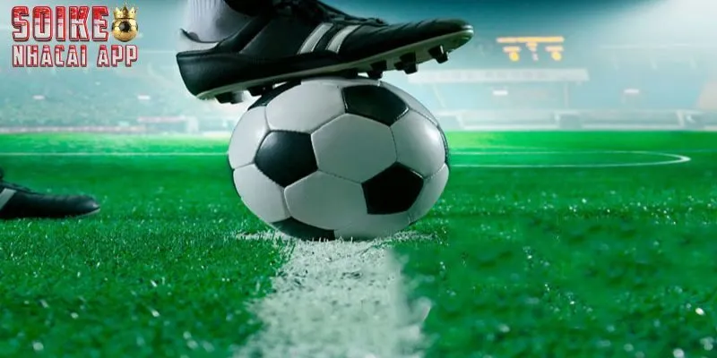 Các tỷ lệ kèo tài xỉu thường gặp nhất