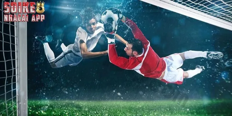 Cách đọc kèo chấp 1 trái cực chuẩn dành cho tân binh