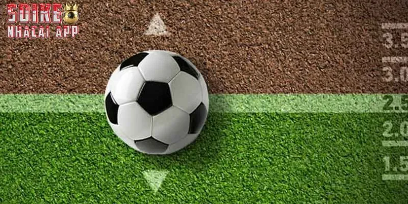 Cách phân tích nhận định hiệu quả khi cá cược