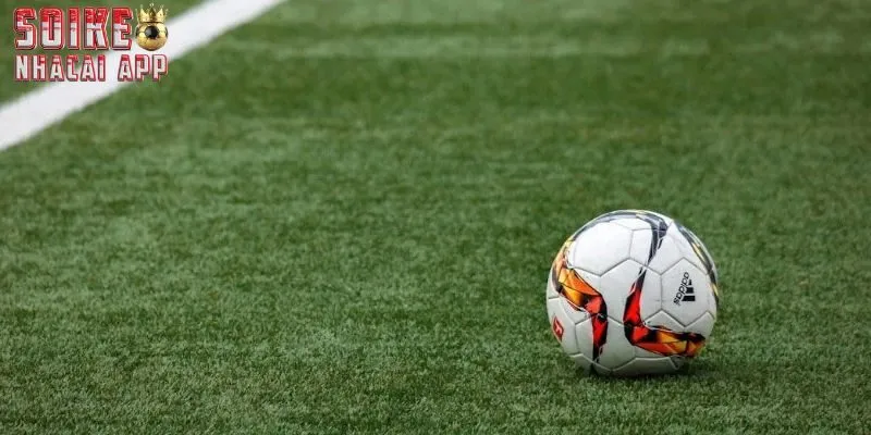 Mẹo chốt kèo thắng lớn dành cho những tân binh