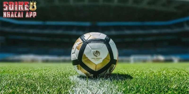 Lưu ý các điều trên khi đến với Soi Kèo Nhà Cái