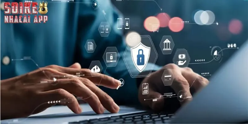 Gặp khúc mắc về dịch vụ soi kèo gọi hotline sớm