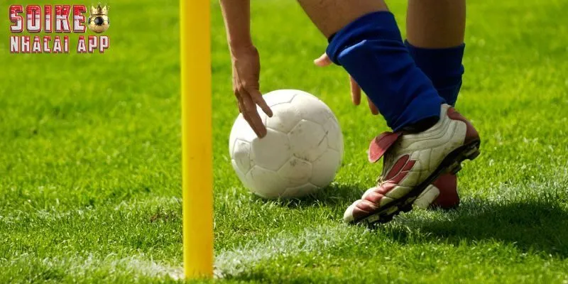 Phương pháp đọc kèo