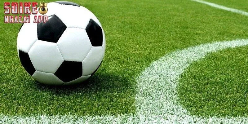 Một số thông tin cơ bản về kèo cược thắng hòa thua